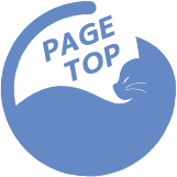 PAGE TOP